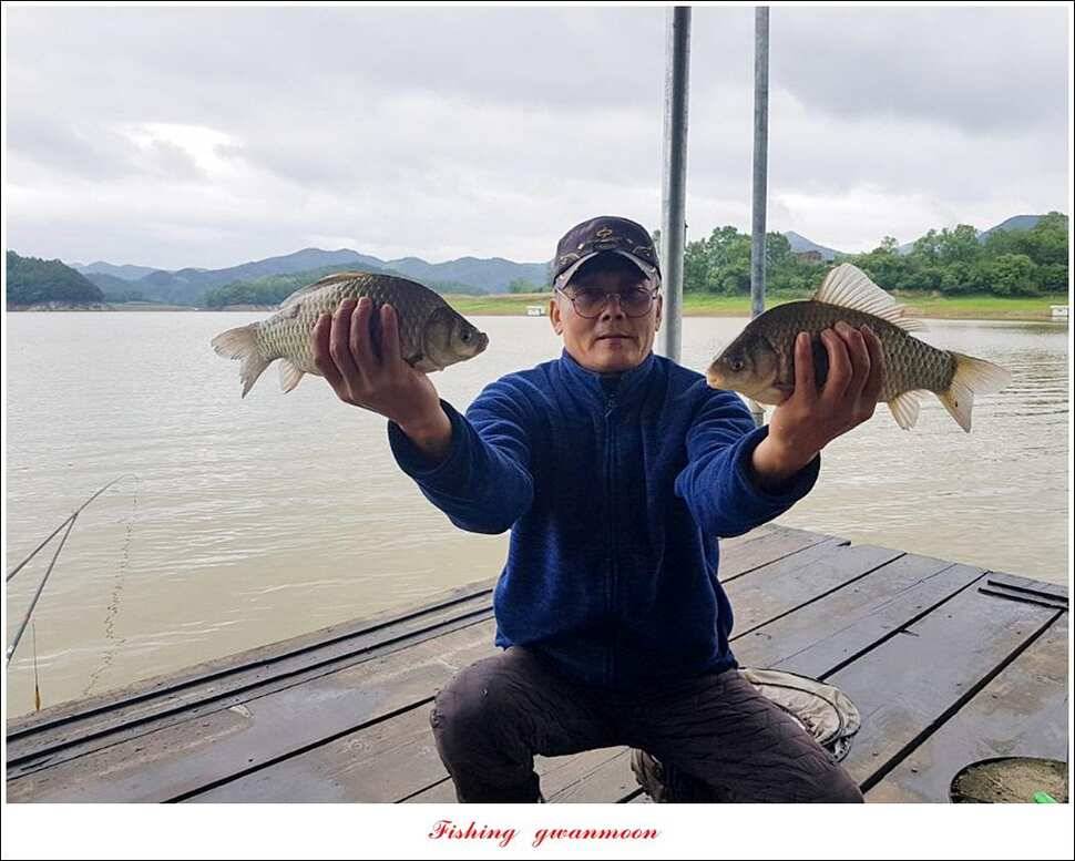 충주호 오름수위한버들 월척 조황 (조황조행기 - 특파원조황)