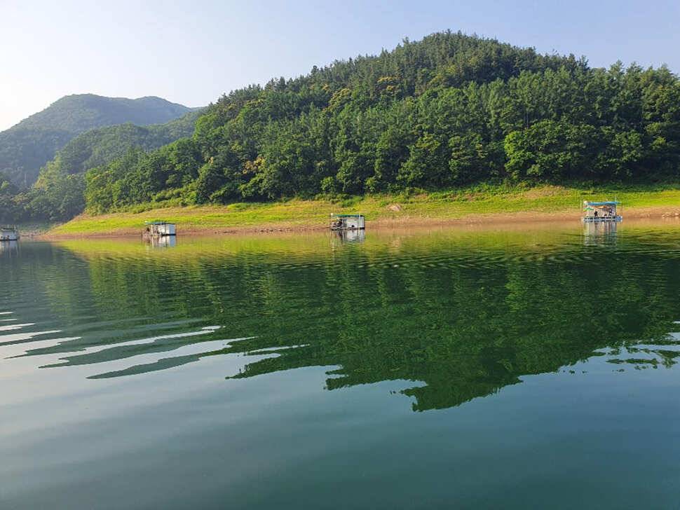 목벌 낚시터 꾸준한 4짜 대물붕어 조황소식 (조황조행기 - 특파원조황)