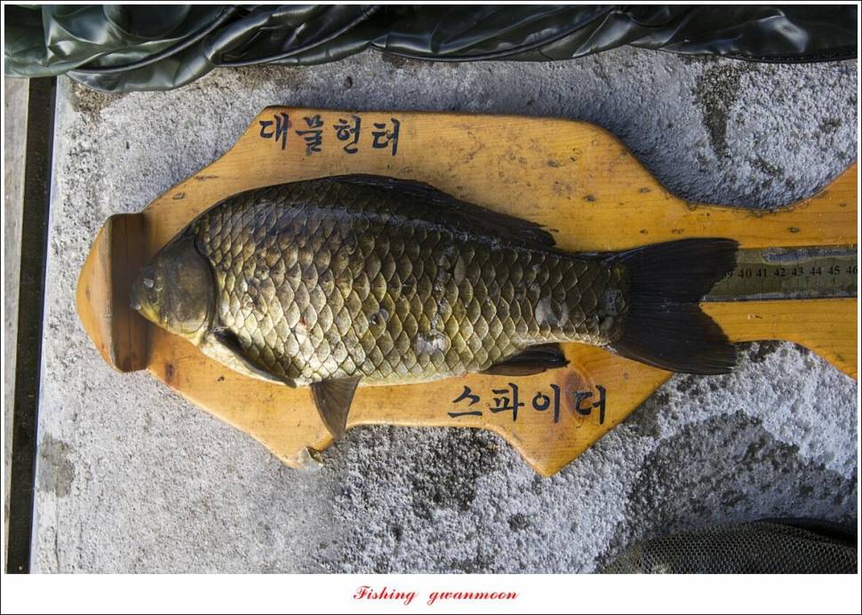 화곡지 4 짜 조황 (조황조행기 - 특파원조황)