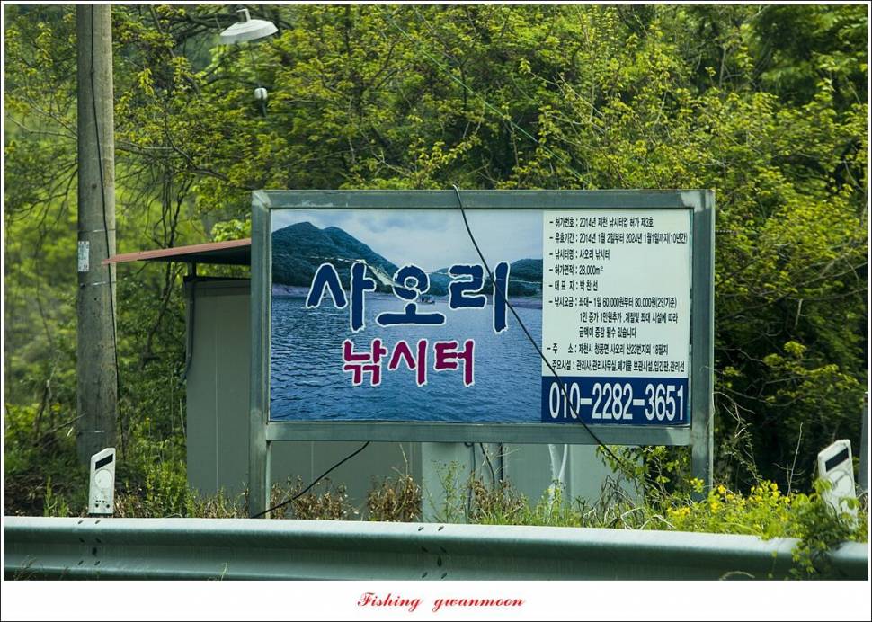 사오리 4 짜한버들 4 짜봉낚시터 조황 (조황조행기 - 특파원조황)