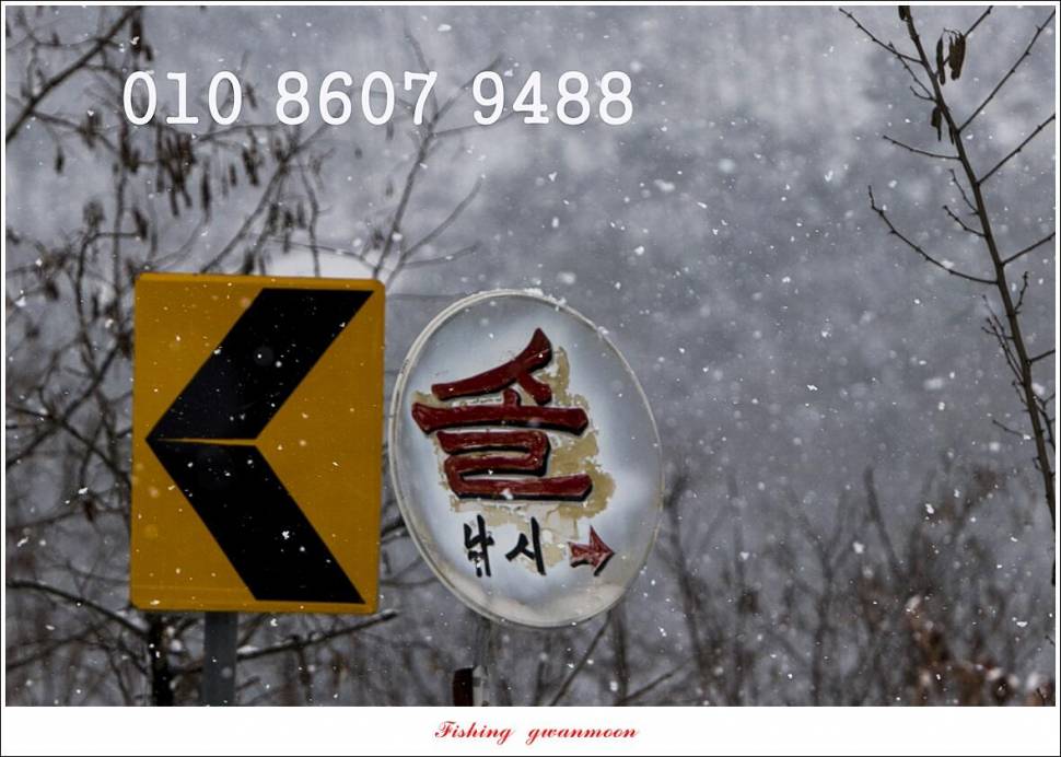 솔 4 짜 대물 조황 (조황조행기 - 특파원조황)