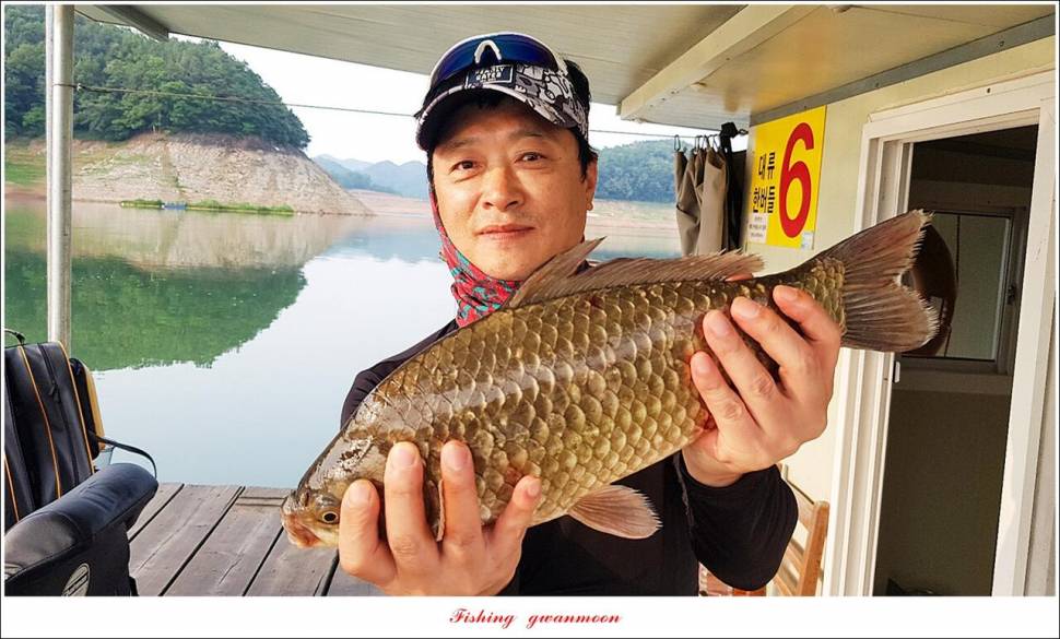 한버들 435 cm 및 명서제일사오리후산리 오름수위 전 소식 (조황조행기 - 특파원조황)