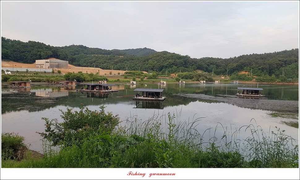 돌감 39393736 cm늘푸른 허리급화곡지 월척 조황 (조황조행기 - 특파원조황)