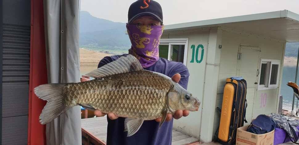 솔 42 43cm 대물붕어 목벌에도 4짜 꽃바위 키로급장어 허리급 붕어조황 (조황조행기 - 특파원조황)
