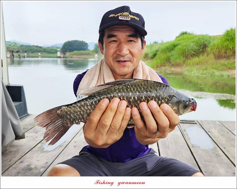 한버들 455 cm솔 415 cm제일 월척 조황 (조황조행기 - 특파원조황)