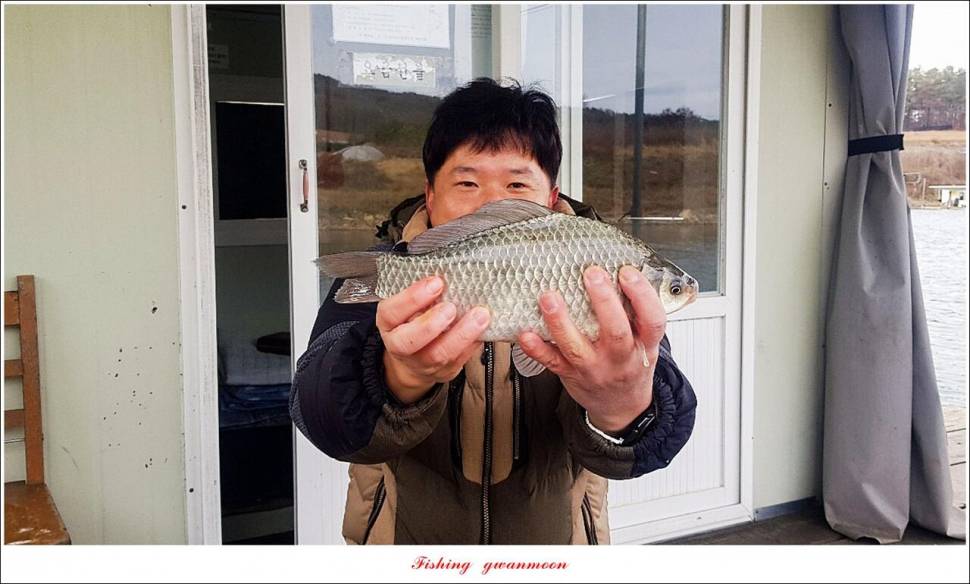 돌감 39 cm한버들 월척 조황 (조황조행기 - 특파원조황)