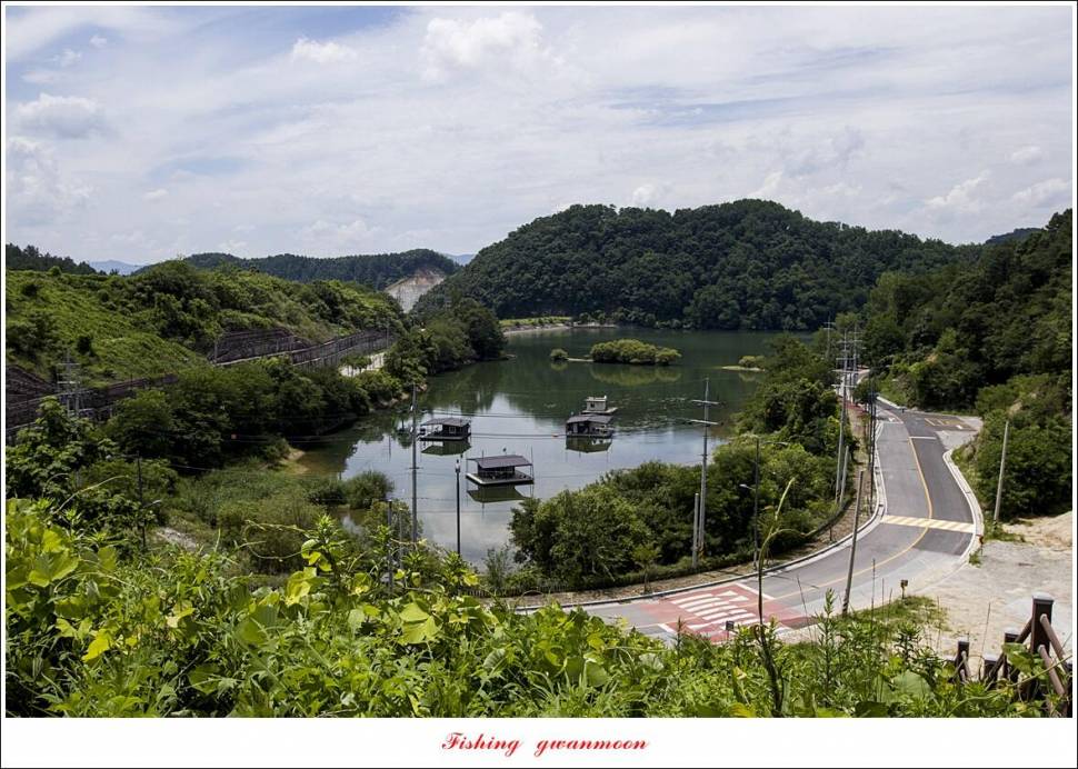 솔 4 짜 3 수화곡지 4 짜 마릿수 조황 (조황조행기 - 특파원조황)