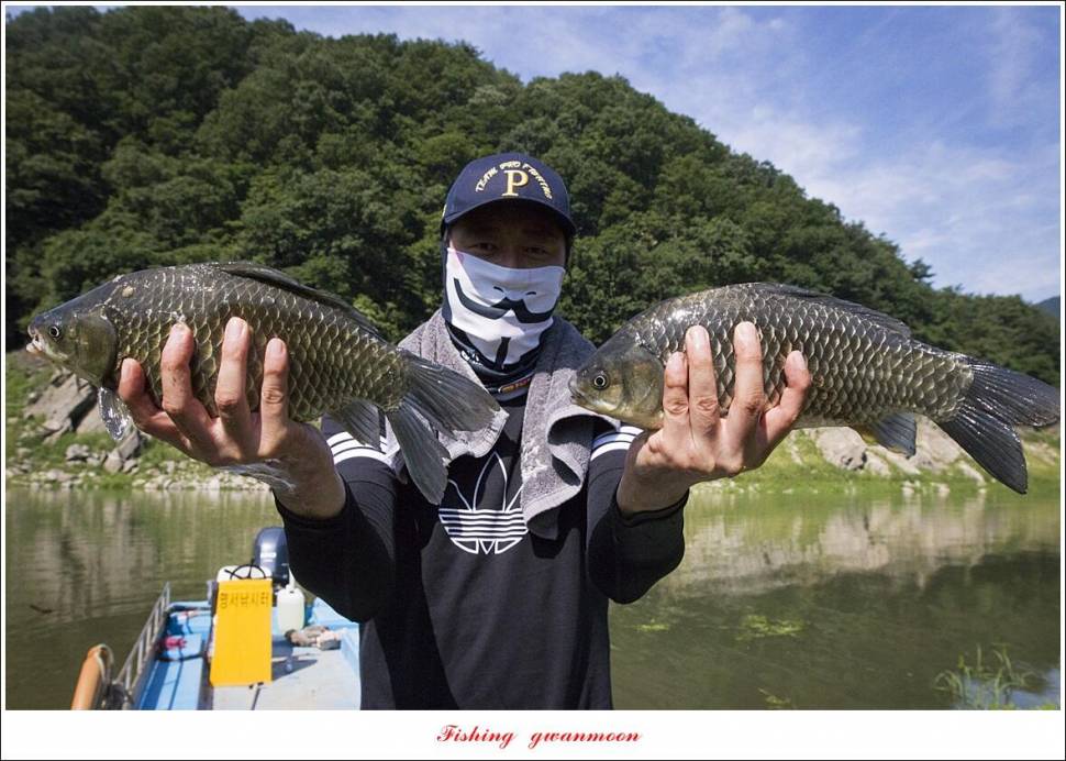 명서 노지사오리소이지 4 짜 및 월척 호조황 (조황조행기 - 특파원조황)