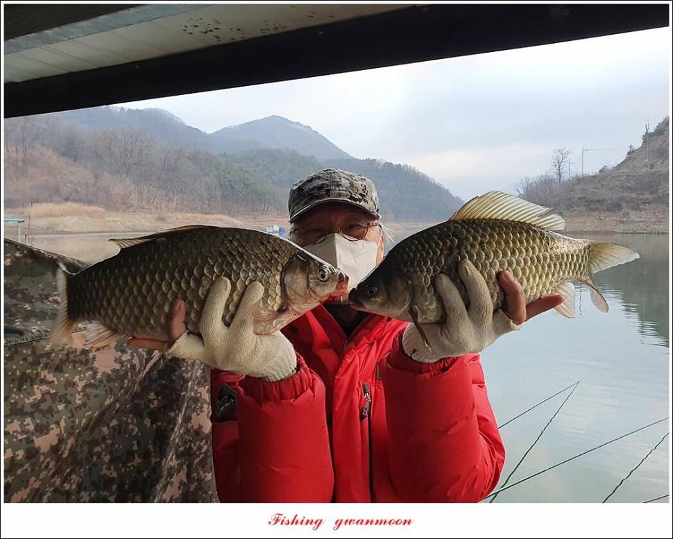 실리곡 44 cm41 cm40 cm돌감 40 cm사짜 조황 및 이벤트 시상 (조황조행기 - 특파원조황)
