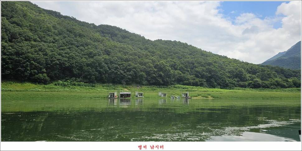 제일 낚시터 대박 조황명서 낚시터 호조황 (조황조행기 - 특파원조황)