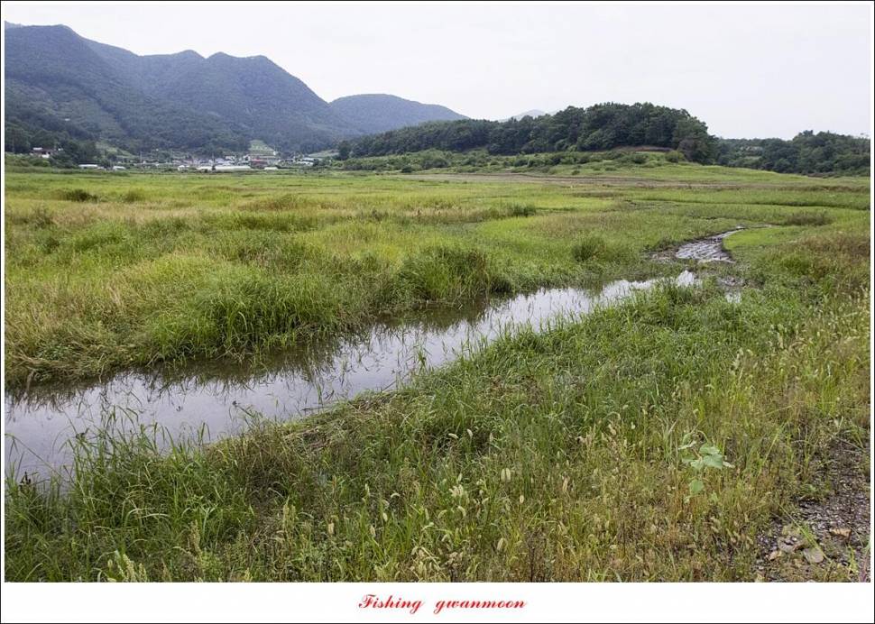 제일 4 짜 2 수돌감 4 짜목벌 4 짜 조황 (조황조행기 - 특파원조황)