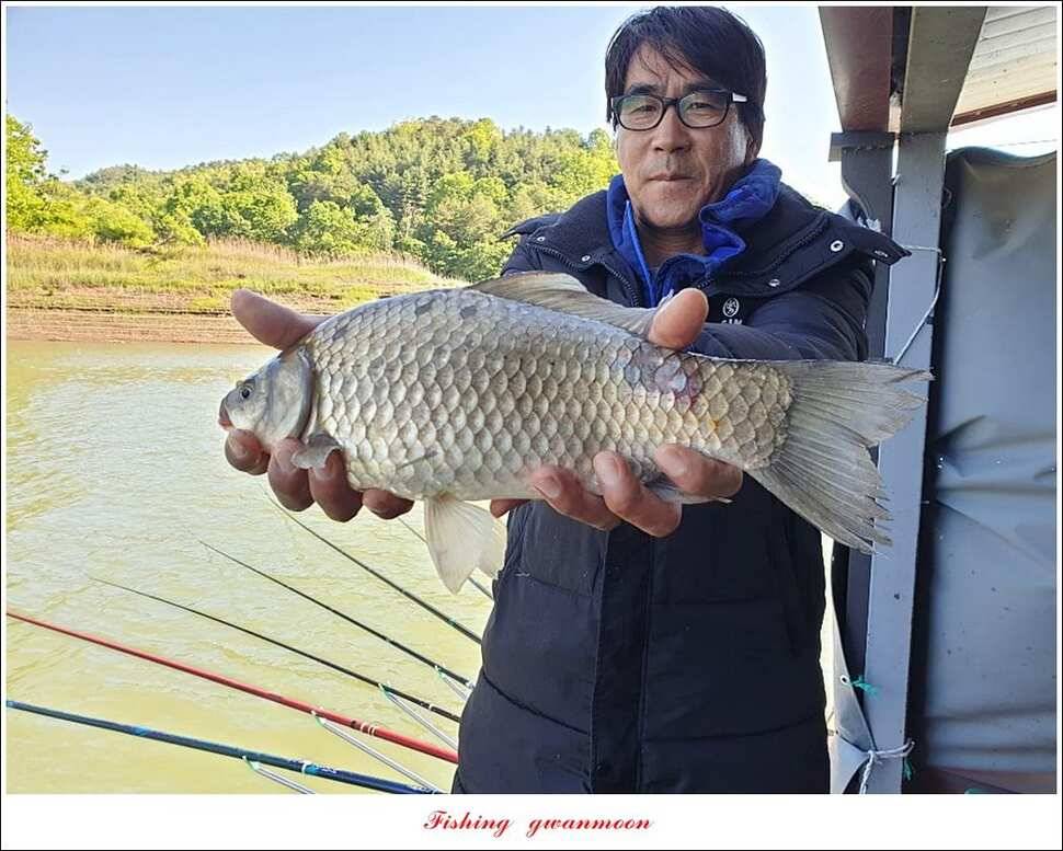 제일 41cm403 cm40 cm40 cm395 cm대물 조황 (조황조행기 - 특파원조황)