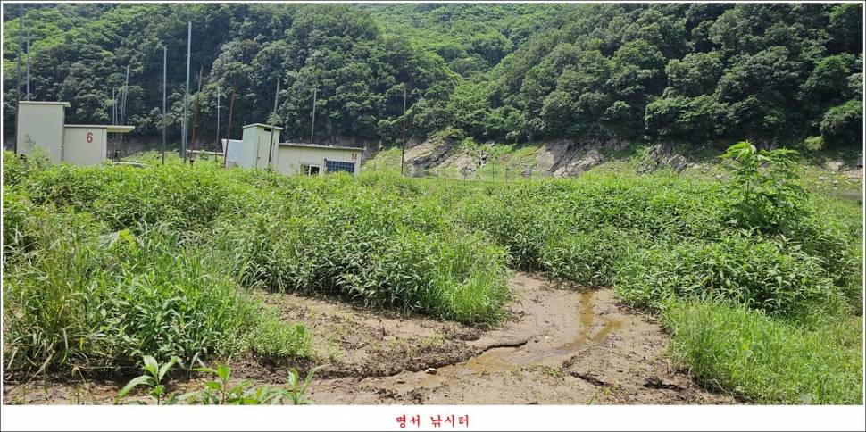 제일 낚시터 대박 조황명서 낚시터 호조황 (조황조행기 - 특파원조황)