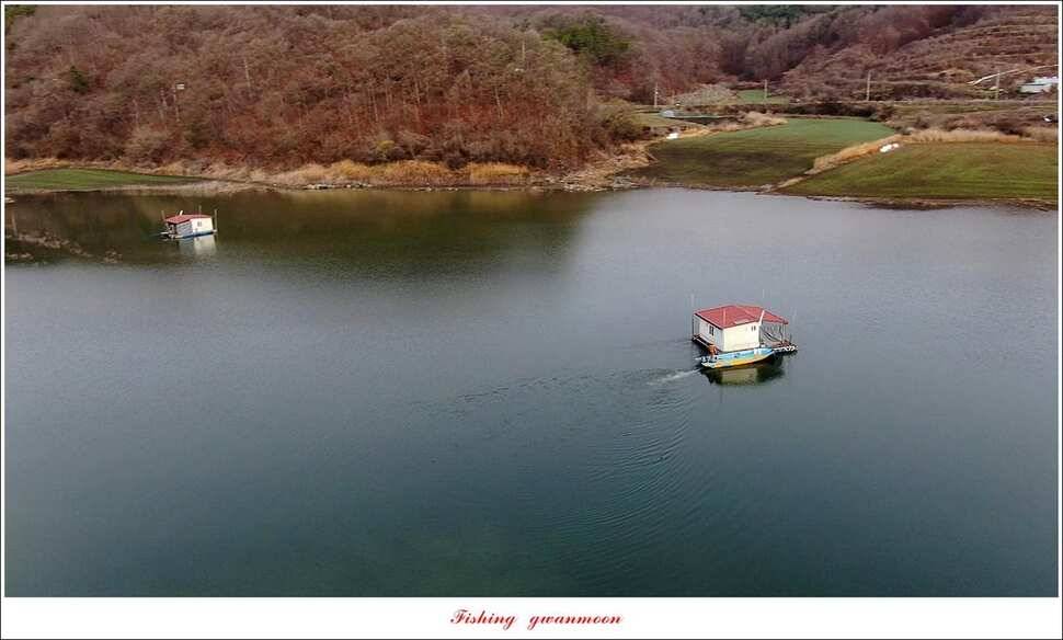 제일 낚시터 마릿수 월척 조황 (조황조행기 - 특파원조황)