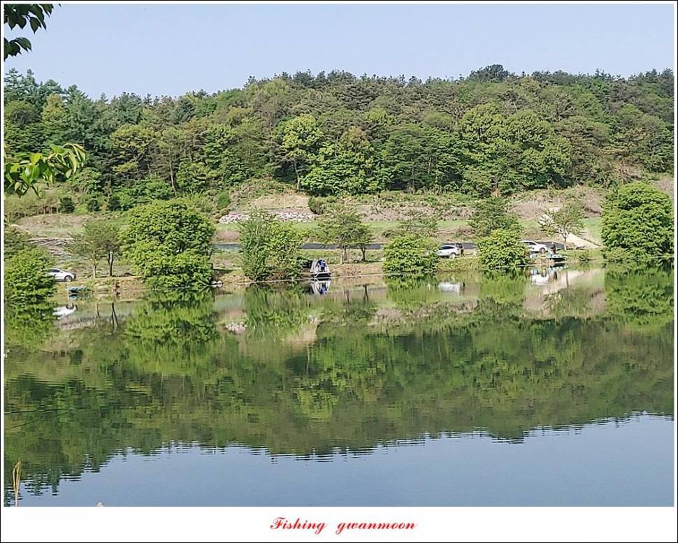 돌감충주호 노지칠성지한버들실리곡신리 4 짜 조황 (조황조행기 - 특파원조황)