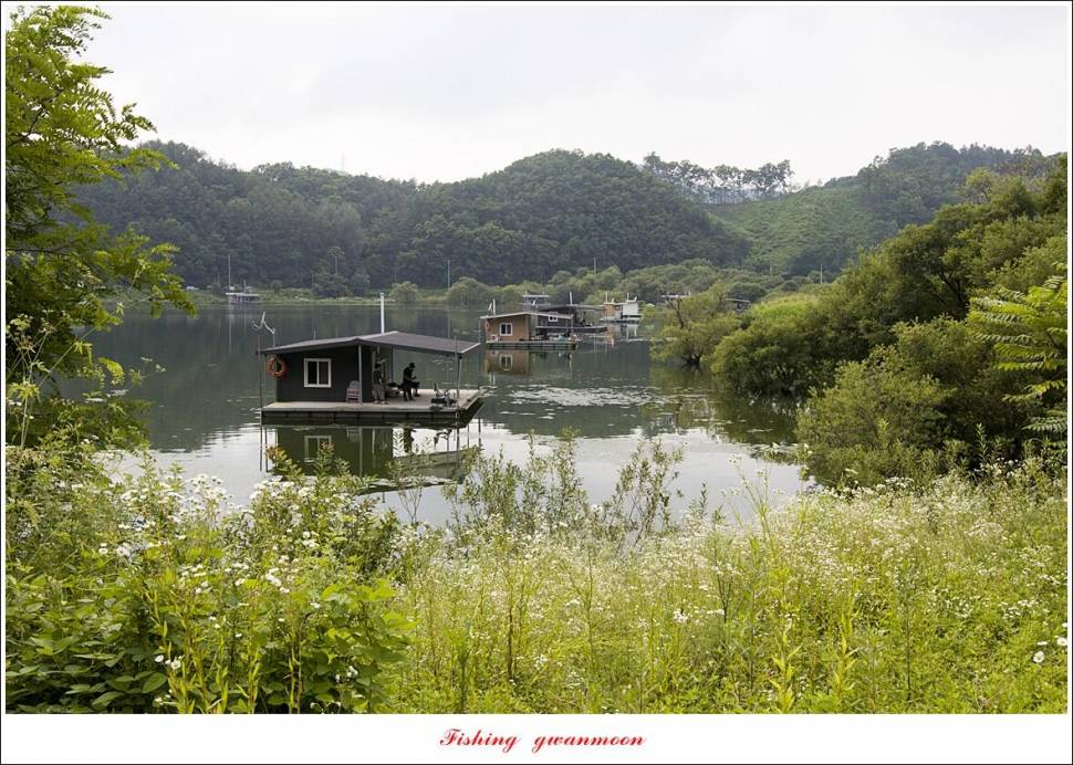제일솔종점 4 짜 대물 및 화곡지 호조황 (조황조행기 - 특파원조황)