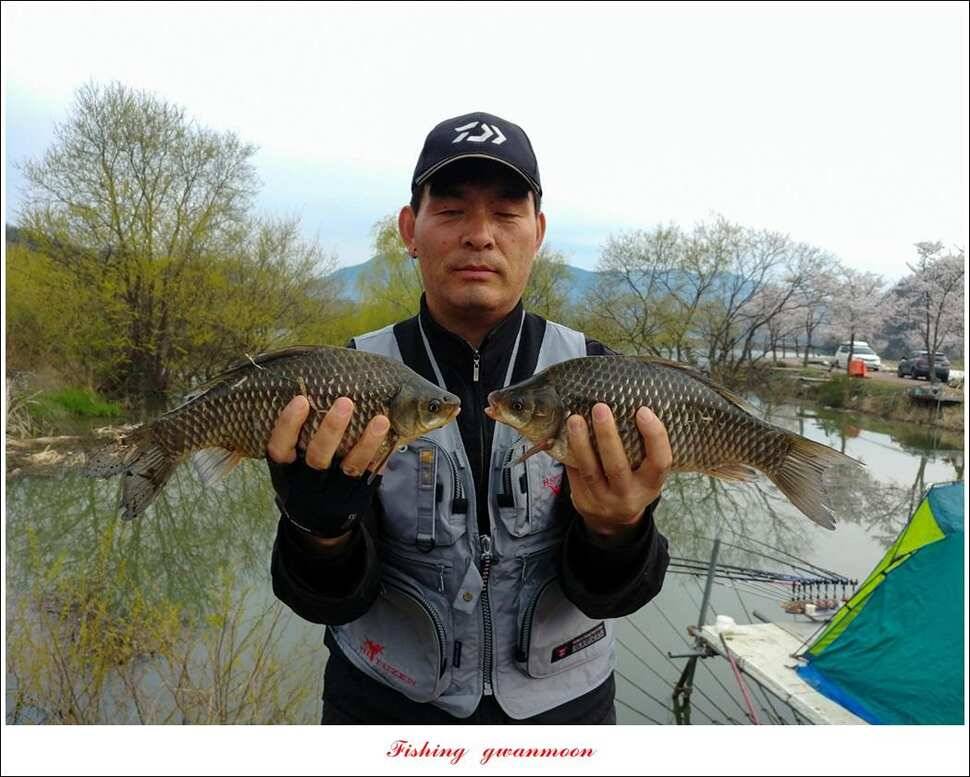 화곡지 사짜칠성지갈마늪대제지추평지 조황 (조황조행기 - 특파원조황)