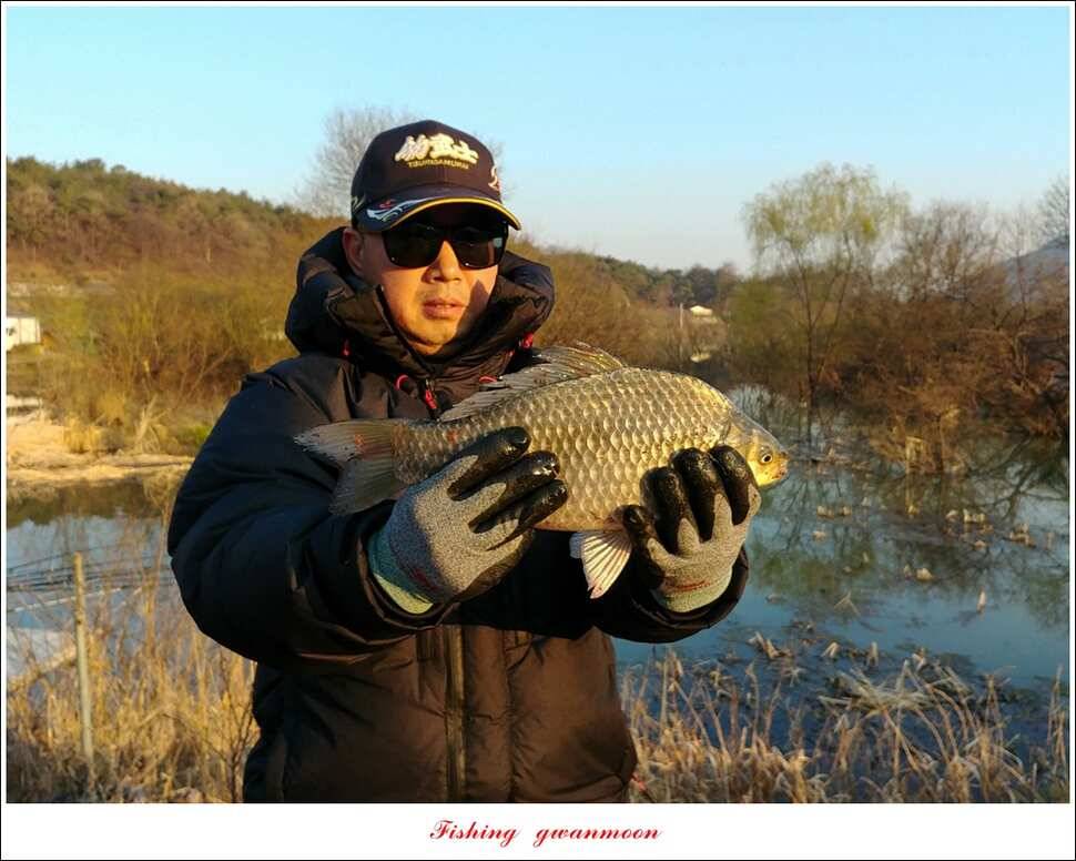 칠성지 월척 조황 (조황조행기 - 특파원조황)