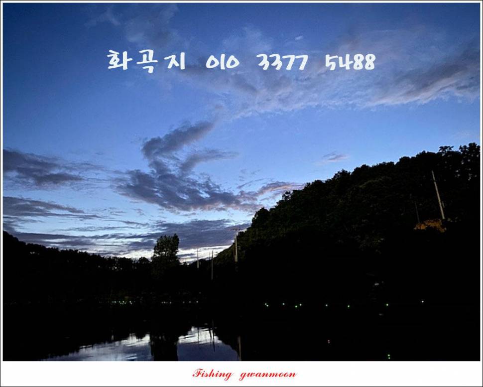 솔 낚시터 45 cm41 cm화곡지칠성지 조황 (조황조행기 - 특파원조황)