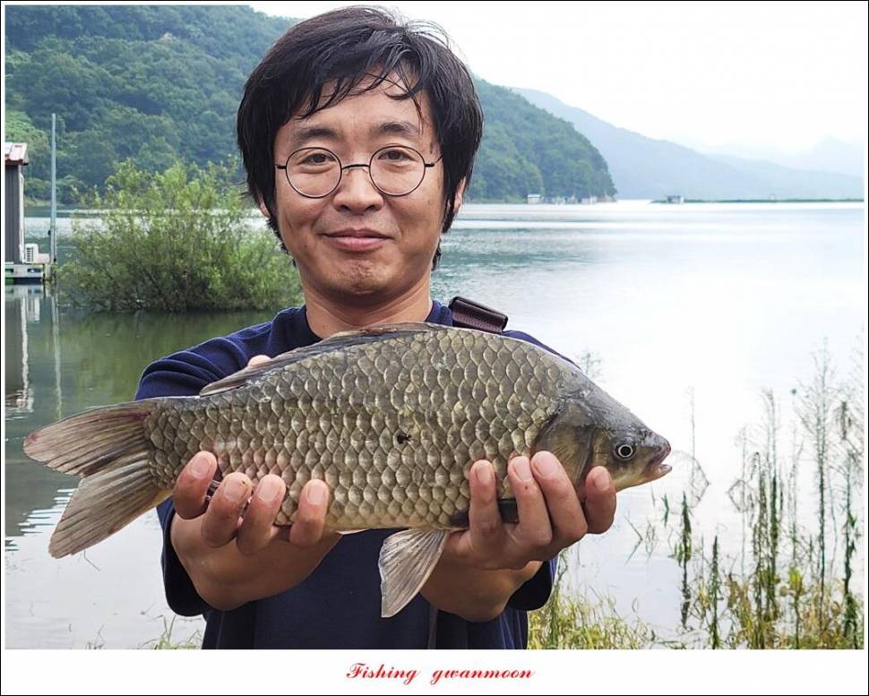 화곡지 4 짜목벌 4 짜한버들 4 짜사오리 4 짜 대물 조황 (조황조행기 - 특파원조황)