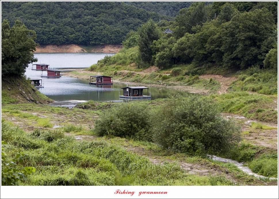 충주호 오름수위화곡지 조황 (조황조행기 - 특파원조황)