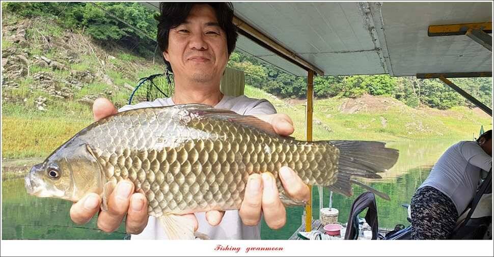 신매 44 cm 대물돌감 4 짜늘푸른제일 월척 조황 (조황조행기 - 특파원조황)