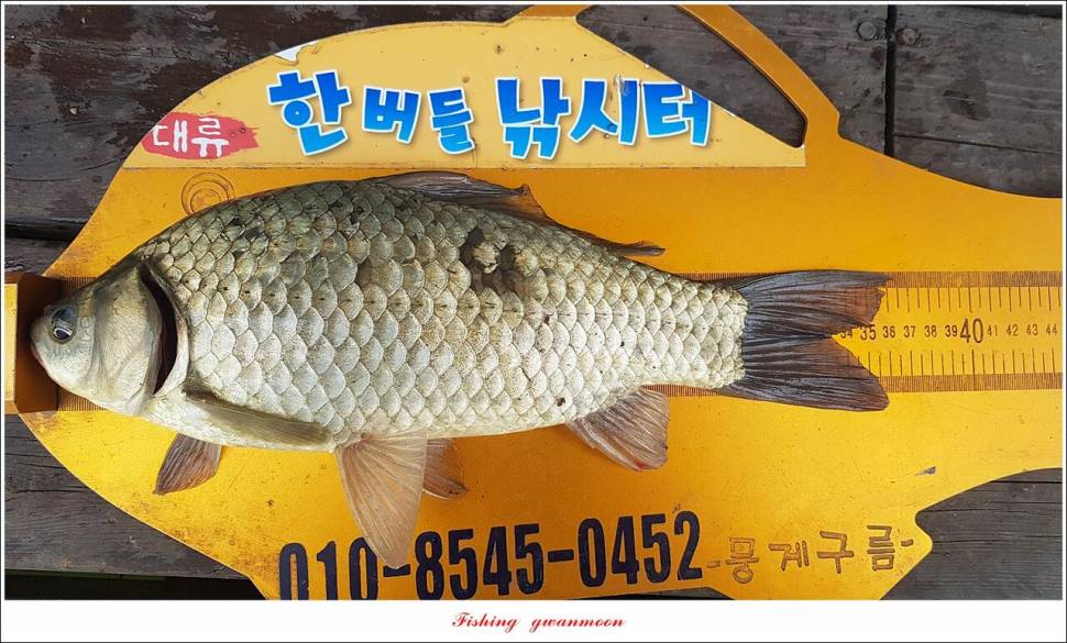 돌감충주호 노지칠성지한버들실리곡신리 4 짜 조황 (조황조행기 - 특파원조황)