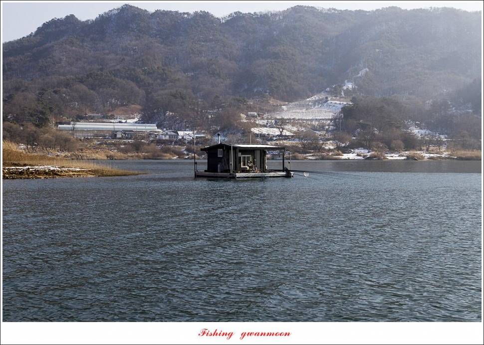 솔 4 짜신리 4 짜 대물 조황 (조황조행기 - 특파원조황)