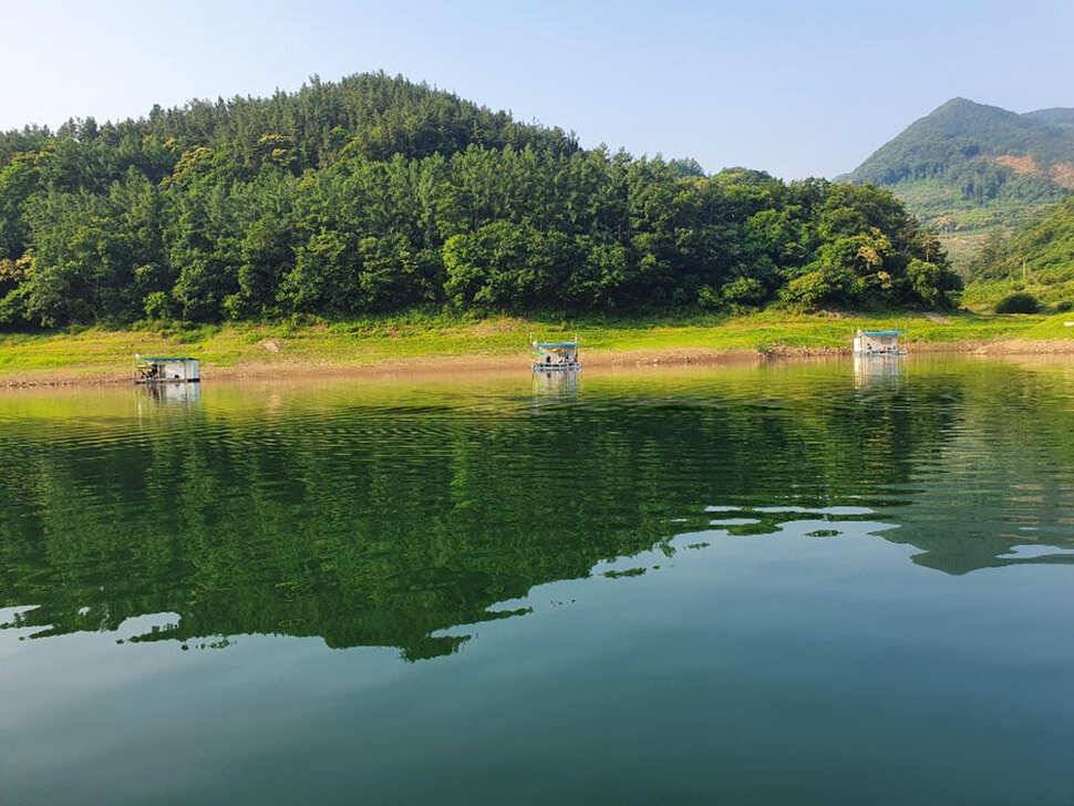 목벌 낚시터 꾸준한 4짜 대물붕어 조황소식 (조황조행기 - 특파원조황)