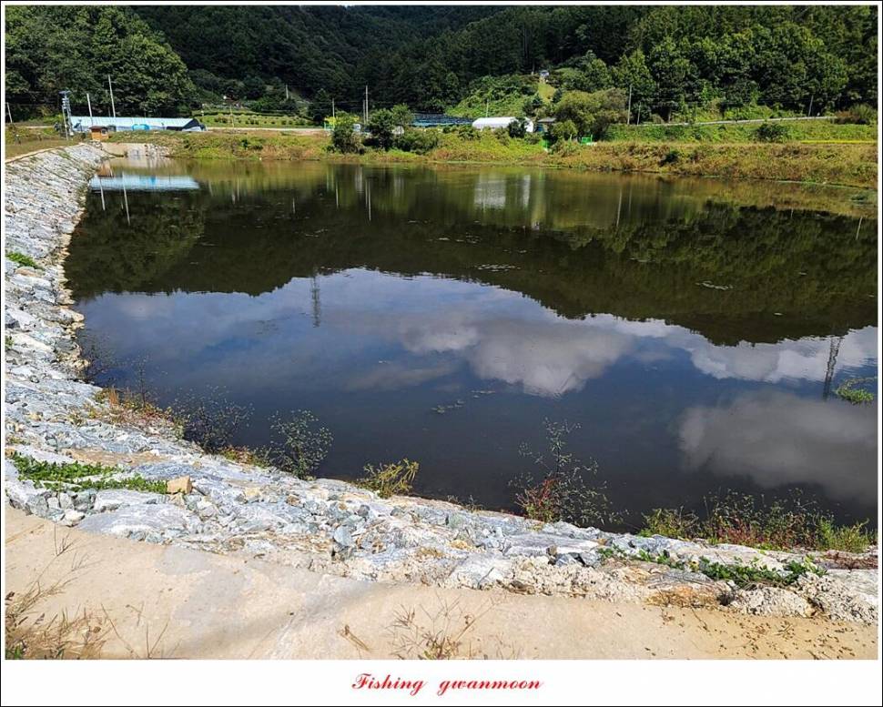 충주호 현황 및 화곡지 4 짜 조황 (조황조행기 - 특파원조황)
