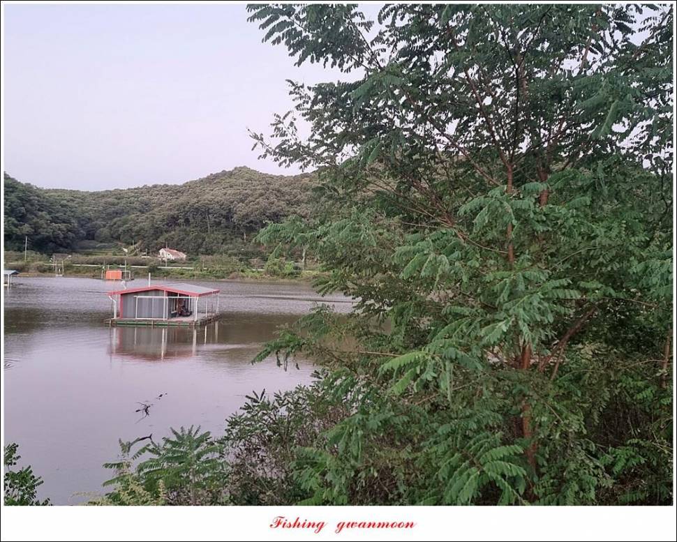 솔 화곡지용원지 조황 (조황조행기 - 특파원조황)