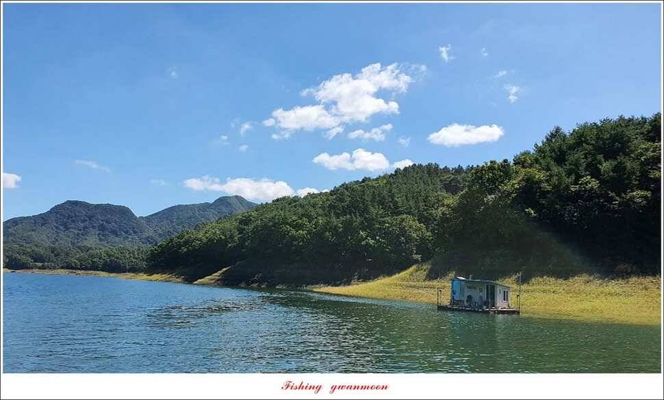 제일신매 월척 조황 (조황조행기 - 특파원조황)