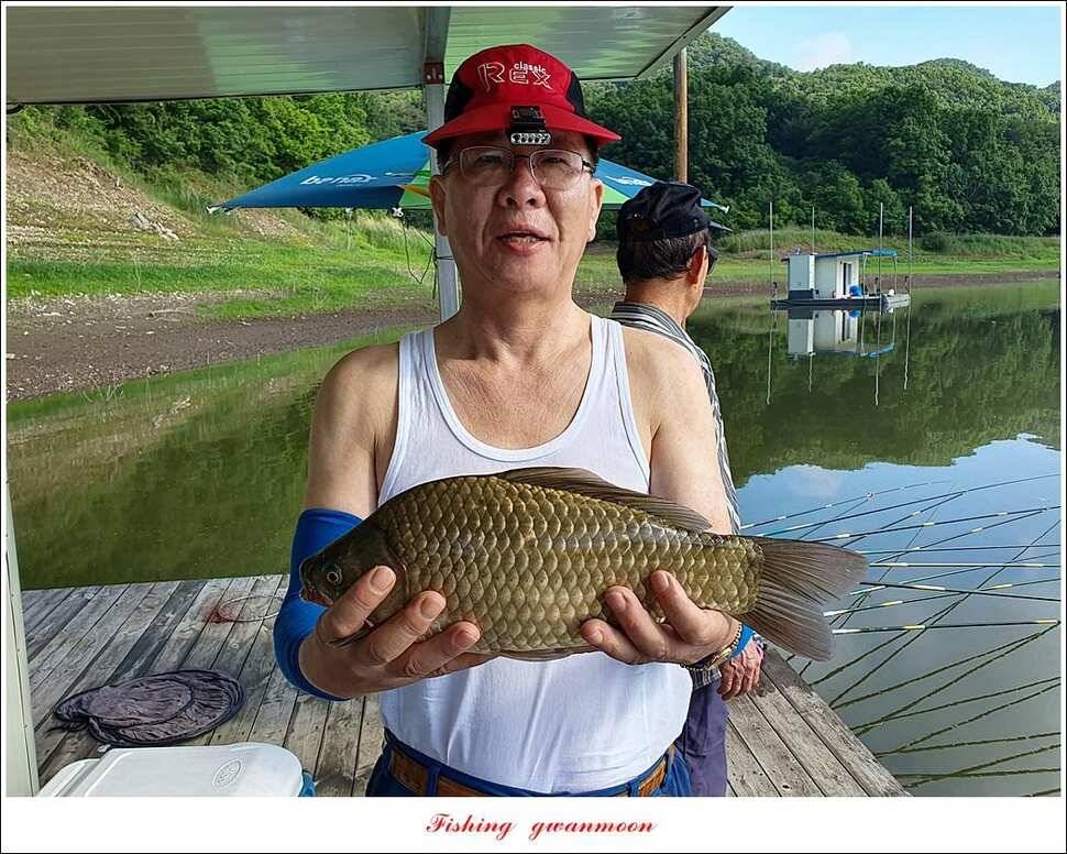 돌감 4 짜실리곡 4 짜신리 4 짜한버들 월척 조황 (조황조행기 - 특파원조황)