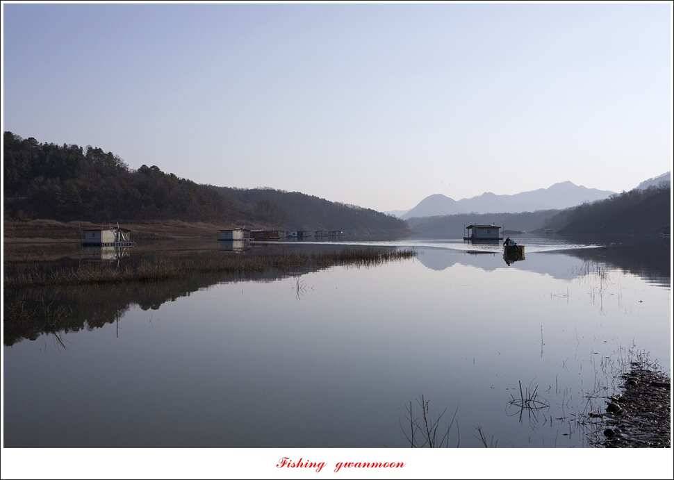 제일 낚시터 월척 및 마릿수 조황 (조황조행기 - 특파원조황)
