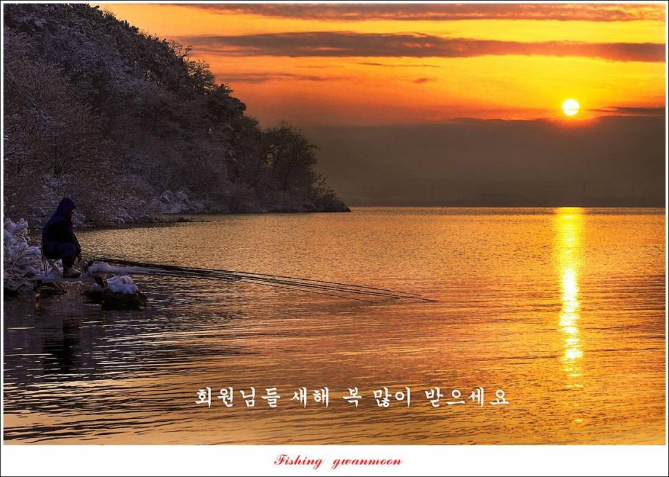 솔 4 짜신리 4 짜 대물 조황 (조황조행기 - 특파원조황)