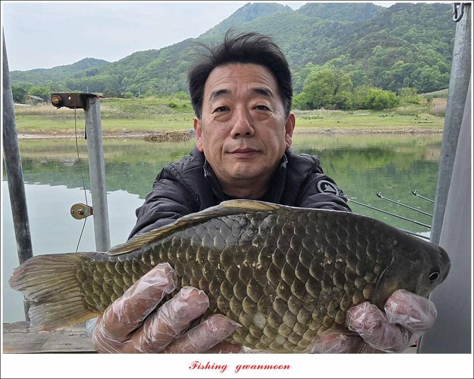 사오리 4 짜한버들 4 짜봉낚시터 조황 (조황조행기 - 특파원조황)