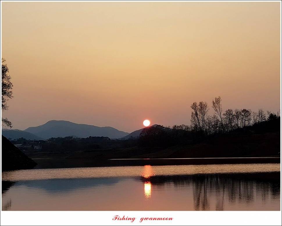 제일 4 짜신리 4 짜실리곡 4 짜 대물 조황 (조황조행기 - 특파원조황)