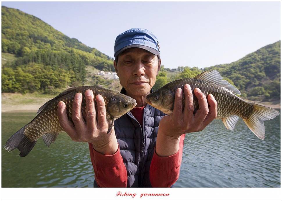 추평지 4 짜화곡지 4 짜칠성지 4 짜목벌 마릿수 월척 (조황조행기 - 특파원조황)