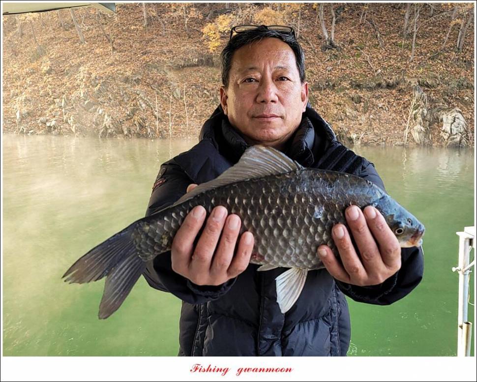 목벌 42 cm신리 41 cm408 cm실리곡 39 cm38 cm대물 조황 (조황조행기 - 특파원조황)