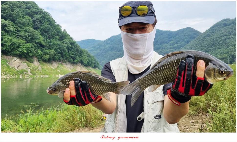 명서 노지 4 짜 마릿수돌감 4 짜사오리 4 짜솔 4 짜 대물 조황 (조황조행기 - 특파원조황)