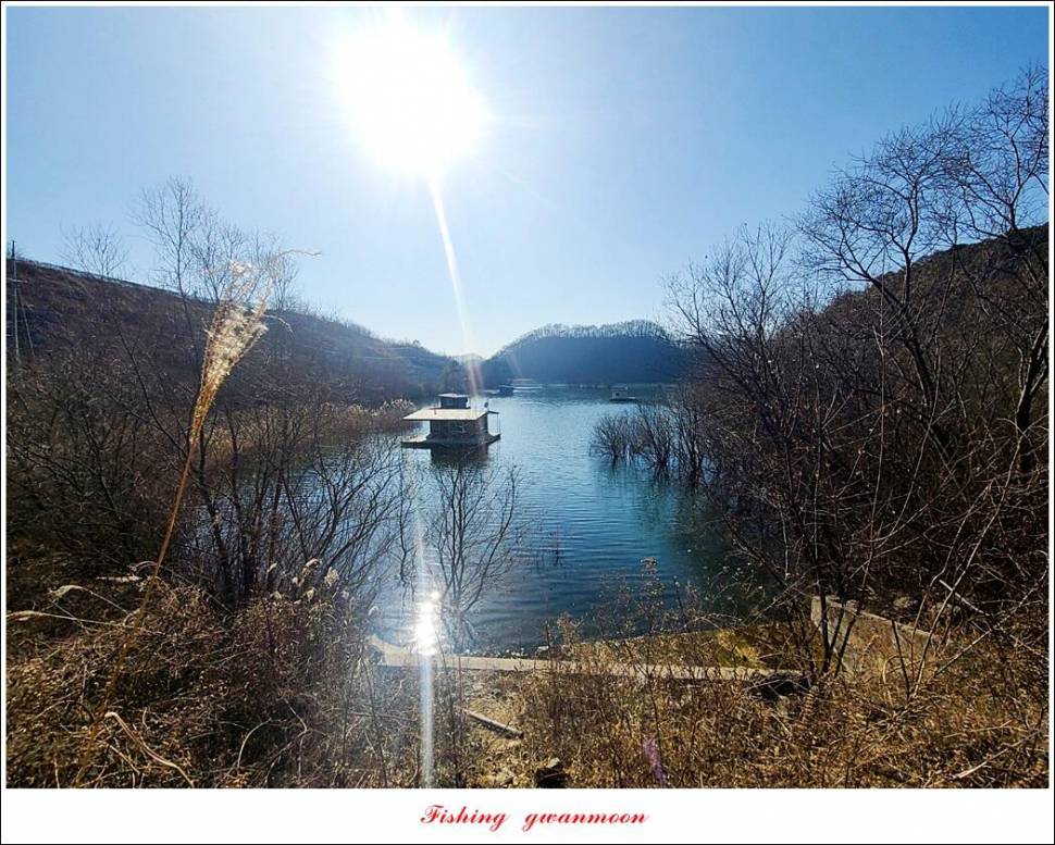 돌감 38 cm 및 화곡지외 주변 조황 (조황조행기 - 특파원조황)