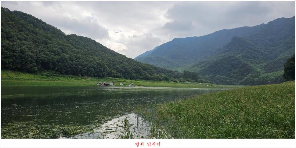 제일 낚시터 대박 조황명서 낚시터 호조황 (조황조행기 - 특파원조황)