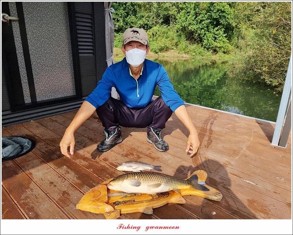 솔 435 cm 대물 및 월척 조황 (조황조행기 - 특파원조황)