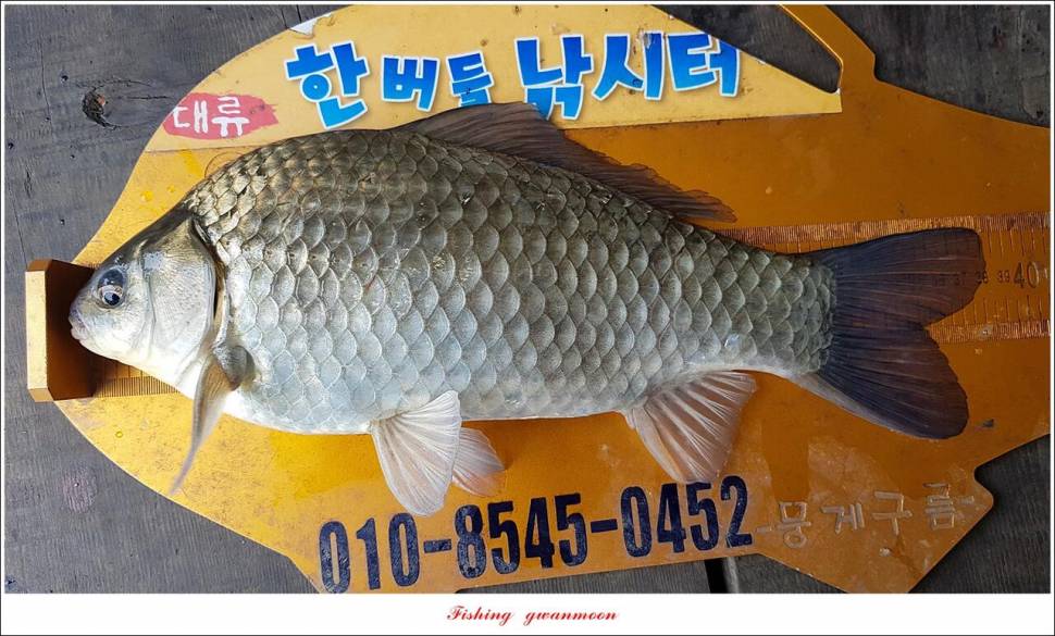 신리 4 짜 7 수실리곡 4 짜 4 수한버들 4 짜 3 수 (조황조행기 - 특파원조황)