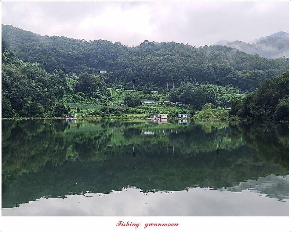 충주호 만수위 및 신리 4 짜 대물 조황 (조황조행기 - 특파원조황)