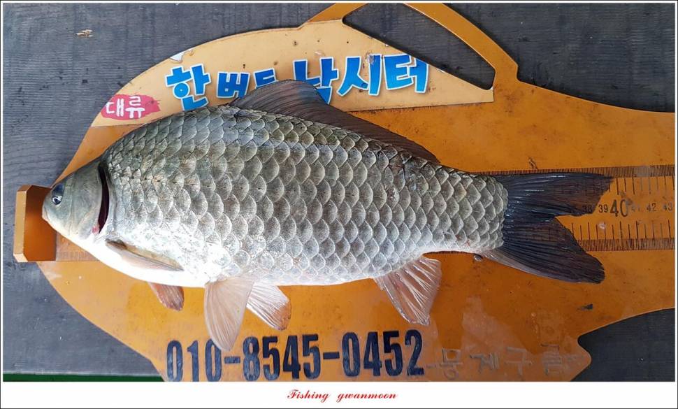 신리 4 짜 7 수실리곡 4 짜 4 수한버들 4 짜 3 수 (조황조행기 - 특파원조황)