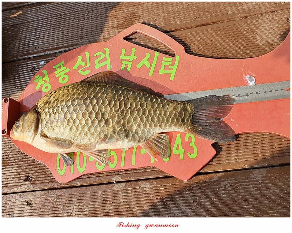신리 4 짜 7 수실리곡 4 짜 4 수한버들 4 짜 3 수 (조황조행기 - 특파원조황)