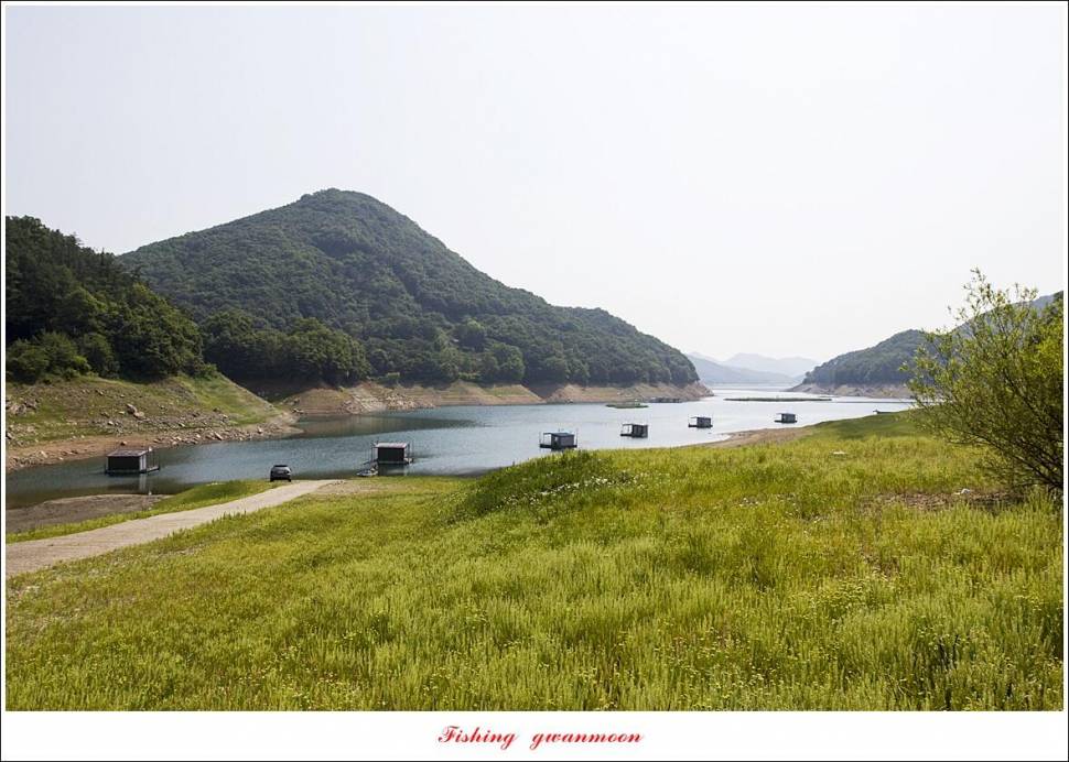 목벌 42 cm41 cm35 cm대물 조황 (조황조행기 - 특파원조황)