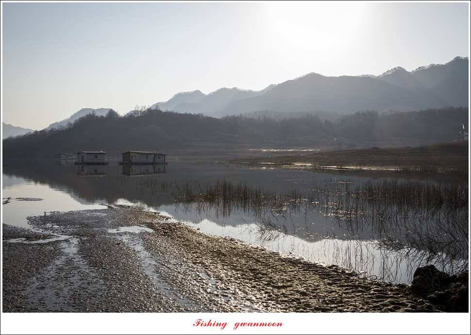 제일 낚시터 월척 및 마릿수 조황 (조황조행기 - 특파원조황)