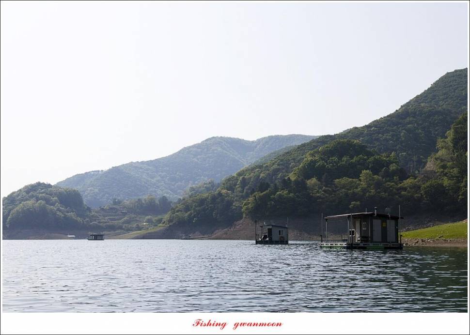추평지 4 짜화곡지 4 짜칠성지 4 짜목벌 마릿수 월척 (조황조행기 - 특파원조황)